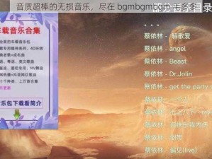 音质超棒的无损音乐，尽在 bgmbgmbgm 毛多多