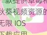 一款提供草莓和秋葵视频资源的无限 IOS 下载应用