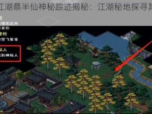 烟雨江湖蔡半仙神秘踪迹揭秘：江湖秘地探寻其所在之迷