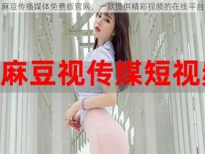 麻豆传播媒体免费版官网，一款提供精彩视频的在线平台