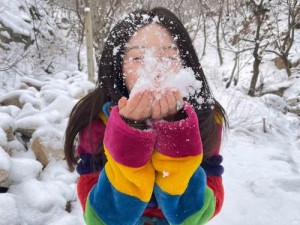 烧脑迷思：探索雪花之谜，第1关答案揭秘——所有的雪花都出现了两次的奥秘之旅