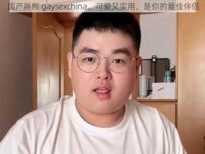 国产胖熊 gaysexchina，可爱又实用，是你的最佳伴侣