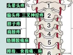 一体五交是哪 5 个地方？