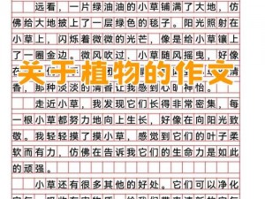 输了让同学玩全部位置作文：满足你游戏欲望的创新产品