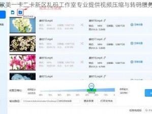 欧美一卡二卡新区乱码工作室专业提供视频压缩与转码服务