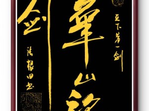 《我比武特牛之华山秘籍揭秘：剑气纵横，武林至宝》