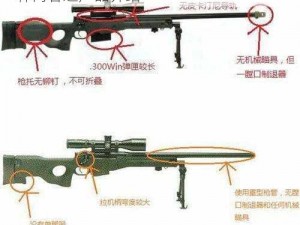 日本 csgo 大姐姐 aWP 多少钱加入仙踪林内容之产品介绍