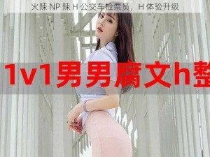 火辣 NP 辣 H 公交车检票员，H 体验升级