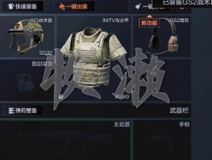 暗区突围IMTV标准衣深度解析：与武士标准衣对比探究