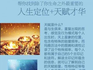 天下风云樊野揭秘：技能属性图鉴，人物解析展现人物天赋才华全攻略