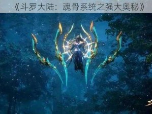 《斗罗大陆：魂骨系统之强大奥秘》