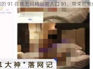 热门的 91 在线无码精品密入口 91，带来极致体验