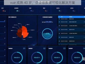 vue 成熟 40 岁，企业级数据可视化解决方案