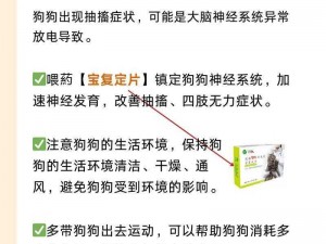 狗狗尿失禁治疗喷剂，让你的狗狗不再不受控制地划水尿失禁