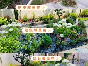 离线模式对花园种植进度的影响解析：探索离线状态下植物生长的虚拟世界