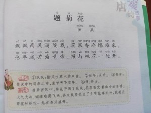 答错一题菊花放一支笔丁程鑫，答错两题加量不加价