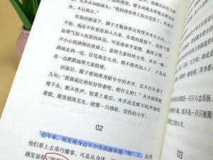 小诗的 JIANYING 日记小说，用文字记录少女的私密成长