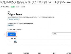 支持多种协议的高速网络代理工具大狗 BATTLE 大狗 V2RAY