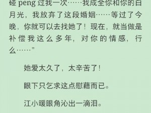 互换美娇妻系列小说——体验不一样的情感冒险