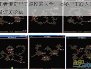 王者传奇尸王殿攻略大全：揭秘尸王殿入口及过关秘籍