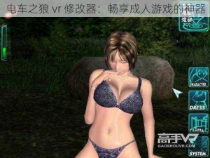 电车之狼 vr 修改器：畅享成人游戏的神器