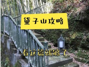 电车之狼 R 通关攻略：尽享成人激情冒险之旅