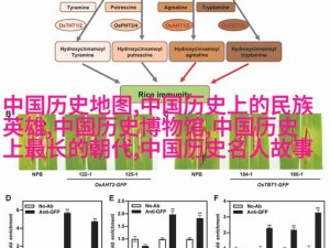 美满天伦家庭交响曲 1——提升家庭幸福感的必备之选