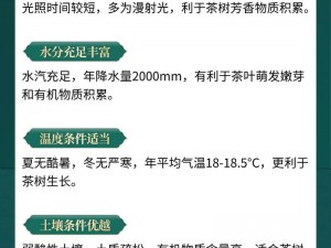 麻豆精产国品一二三产区，每个产区都有其独特的特点和优势