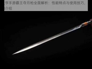 三国大亨手游霸王夺月枪全面解析：性能特点与使用技巧，获取方法详细介绍