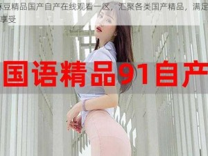 91 麻豆精品国产自产在线观看一区，汇聚各类国产精品，满足你的视觉享受