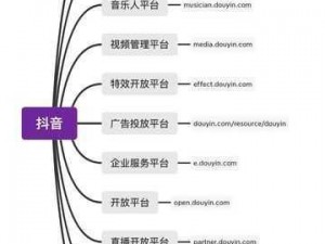 抖音微信登录受阻：原因与解决方案探讨