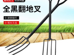 国产乱子伦农村叉叉叉，一款适用于农村的高品质叉具