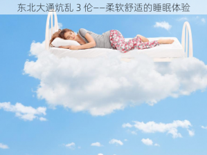 东北大通炕乱 3 伦——柔软舒适的睡眠体验