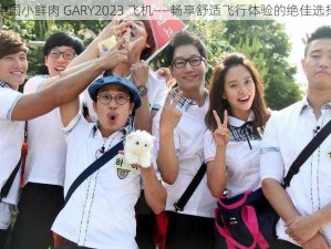 中国小鲜肉 GARY2023 飞机——畅享舒适飞行体验的绝佳选择