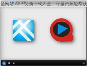 黄金网站 APP 视频下载大全，海量资源轻松获取