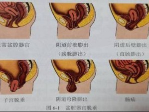 护士的下面又湿又紧 10P——女性生理健康知识科普，让你了解女性私密部位的正常生理现象