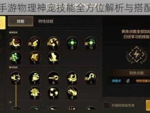 天下手游物理神宠技能全方位解析与搭配攻略