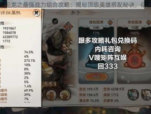 遇见龙之最强战力组合攻略：揭秘顶级英雄搭配秘诀，征战