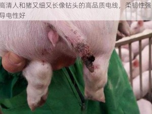 高清人和猪又细又长像钻头的高品质电线，柔韧性强，导电性好