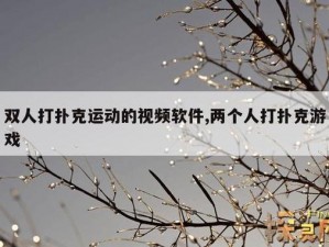 激情运动与扑克策略的完美结合——做剧烈运动打扑克视频 APP