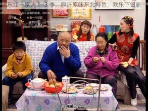 东北一家人 1—3 季，原汁原味东北特色，欢乐下饭剧