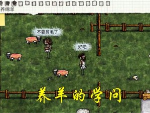 一小时人生养羊技巧：羊毛制作衣物全攻略