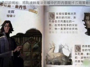 斯内普回响揭秘：哈利波特魔法觉醒中的斯内普配卡应用策略探究