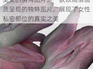 美女的阴沟图片：一款以高清画质呈现的独特图片，展现了女性私密部位的真实之美