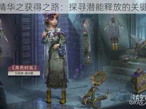 燃烧精华之获得之路：探寻潜能释放的关键要素