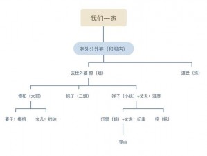 混乱一家子：揭秘家庭关系的奥秘