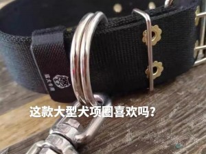 优质公狗项圈，结实耐用，彰显男性雄风