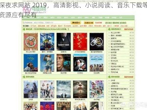 深夜求网站 2019，高清影视、小说阅读、音乐下载等资源应有尽有