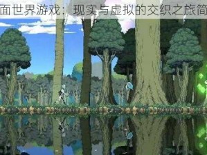 双面世界游戏：现实与虚拟的交织之旅简介