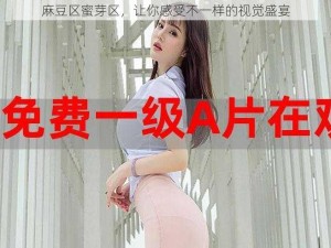 麻豆区蜜芽区，让你感受不一样的视觉盛宴